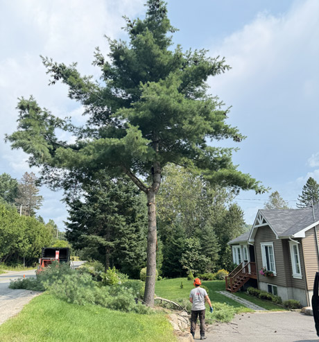 Pruner Mont-Tremblant