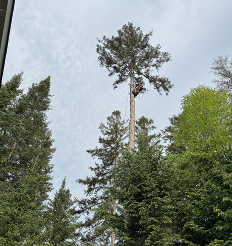 Pruner Mont-Tremblant